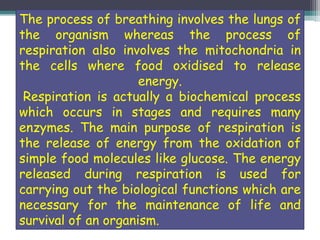 The process of breathing involves the lungs of
the organism whereas the process of
respiration also involves the mitochondria in
the cells where food oxidised to release
energy.
Respiration is actually a biochemical process
which occurs in stages and requires many
enzymes. The main purpose of respiration is
the release of energy from the oxidation of
simple food molecules like glucose. The energy
released during respiration is used for
carrying out the biological functions which are
necessary for the maintenance of life and
survival of an organism.
 