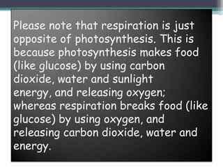 Please note that respiration is just
opposite of photosynthesis. This is
because photosynthesis makes food
(like glucose) by using carbon
dioxide, water and sunlight
energy, and releasing oxygen;
whereas respiration breaks food (like
glucose) by using oxygen, and
releasing carbon dioxide, water and
energy.
 