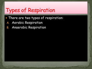 There are two types of respiration:
A. Aerobic Respiration
B. Anaerobic Respiration
 