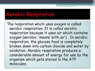 Aerobic Respiration
The respiration which uses oxygen is called
aerobic respiration. It is called aerobic
respiration because it uses air which contains
oxygen (aerobic 'means ‘with air’) . In aerobic
respiration, the glucose food is completely
broken down into carbon dioxide and water by
oxidation. Aerobic respiration produces a
considerable amount of energy for use by the
organism which gets stored in the ATP
molecules.
 