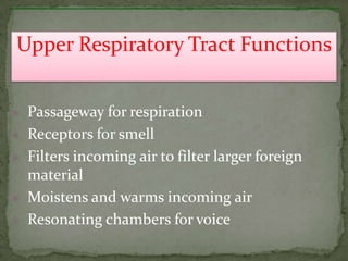  Passageway for respiration
 Receptors for smell
 Filters incoming air to filter larger foreign
material
 Moistens and warms incoming air
 Resonating chambers for voice
Upper Respiratory Tract Functions
 