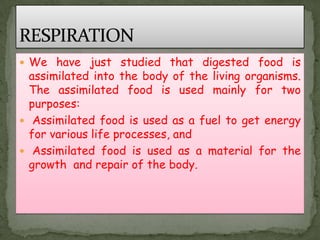  We have just studied that digested food is
assimilated into the body of the living organisms.
The assimilated food is used mainly for two
purposes:
 Assimilated food is used as a fuel to get energy
for various life processes, and
 Assimilated food is used as a material for the
growth and repair of the body.
 