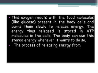 • This oxygen reacts with the food molecules
(like glucose) present in the body cells and
burns them slowly to release energy. The
energy thus released is stored in ATP
molecules in the cells. The body can use this
stored energy whenever it wants to do so.
• The process of releasing energy from
 