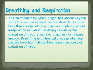  The mechanism by which organisms obtain oxygen
from the air and release carbon dioxide is called
breathing. Respiration is a more complex process.
Respiration includes breathing as well as the
oxidation of food in cells of organism to release
energy. Breathing is a physical process whereas
respiration also includes biochemical process of
oxidation of food.
 
