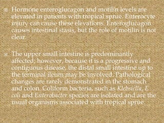  Hormone enteroglucagon and motilin levels are
elevated in patients with tropical sprue. Enterocyte
injury can cause these elevations. Enteroglucagon
causes intestinal stasis, but the role of motilin is not
clear.
 The upper small intestine is predominantly
affected; however, because it is a progressive and
contiguous disease, the distal small intestine up to
the terminal ileum may be involved. Pathological
changes are rarely demonstrated in the stomach
and colon. Coliform bacteria, such as Klebsiella, E
coli and Enterobacter species are isolated and are the
usual organisms associated with tropical sprue.
 