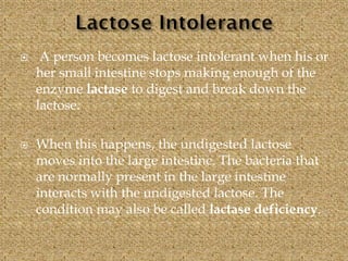  A person becomes lactose intolerant when his or
her small intestine stops making enough of the
enzyme lactase to digest and break down the
lactose.
 When this happens, the undigested lactose
moves into the large intestine. The bacteria that
are normally present in the large intestine
interacts with the undigested lactose. The
condition may also be called lactase deficiency.
 