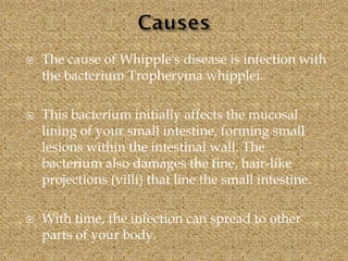  The cause of Whipple's disease is infection with
the bacterium Tropheryma whipplei.
 This bacterium initially affects the mucosal
lining of your small intestine, forming small
lesions within the intestinal wall. The
bacterium also damages the fine, hair-like
projections (villi) that line the small intestine.
 With time, the infection can spread to other
parts of your body.
 