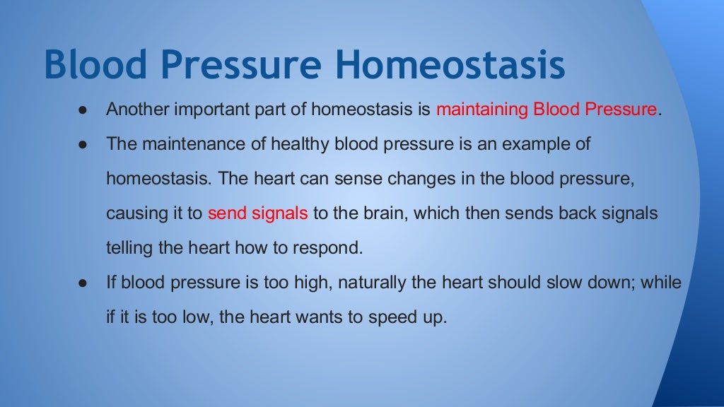 Biology PPT Homeostasis
