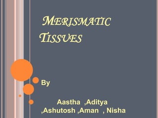 MERISMATIC
TISSUES
By
Aastha ,Aditya
,Ashutosh ,Aman , Nisha
 