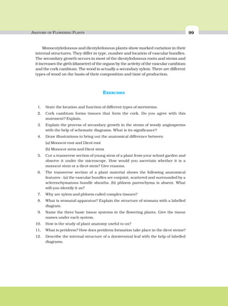 ANATOMY OF FLOWERING PLANTS 99
Monocotyledonous and dicotyledonous plants show marked variation in their
internal structures. They differ in type, number and location of vascular bundles.
The secondary growth occurs in most of the dicotyledonous roots and stems and
it increases the girth (diameter) of the organs by the activity of the vascular cambium
and the cork cambium. The wood is actually a secondary xylem. There are different
types of wood on the basis of their composition and time of production.
EXERCISES
1. State the location and function of different types of meristems.
2. Cork cambium forms tissues that form the cork. Do you agree with this
statement? Explain.
3. Explain the process of secondary growth in the stems of woody angiosperms
with the help of schematic diagrams. What is its significance?
4. Draw illustrations to bring out the anatomical difference between
(a) Monocot root and Dicot root
(b) Monocot stem and Dicot stem
5. Cut a transverse section of young stem of a plant from your school garden and
observe it under the microscope. How would you ascertain whether it is a
monocot stem or a dicot stem? Give reasons.
6. The transverse section of a plant material shows the following anatomical
features - (a) the vascular bundles are conjoint, scattered and surrounded by a
sclerenchymatous bundle sheaths. (b) phloem parenchyma is absent. What
will you identify it as?
7. Why are xylem and phloem called complex tissues?
8. What is stomatal apparatus? Explain the structure of stomata with a labelled
diagram.
9. Name the three basic tissue systems in the flowering plants. Give the tissue
names under each system.
10. How is the study of plant anatomy useful to us?
11, What is periderm? How does periderm formation take place in the dicot stems?
12. Describe the internal structure of a dorsiventral leaf with the help of labelled
diagrams.
 