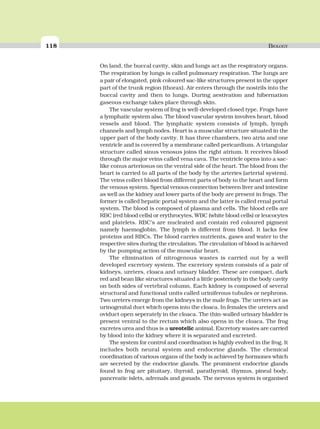 118 BIOLOGY
On land, the buccal cavity, skin and lungs act as the respiratory organs.
The respiration by lungs is called pulmonary respiration. The lungs are
a pair of elongated, pink coloured sac-like structures present in the upper
part of the trunk region (thorax). Air enters through the nostrils into the
buccal cavity and then to lungs. During aestivation and hibernation
gaseous exchange takes place through skin.
The vascular system of frog is well-developed closed type. Frogs have
a lymphatic system also. The blood vascular system involves heart, blood
vessels and blood. The lymphatic system consists of lymph, lymph
channels and lymph nodes. Heart is a muscular structure situated in the
upper part of the body cavity. It has three chambers, two atria and one
ventricle and is covered by a membrane called pericardium. A triangular
structure called sinus venosus joins the right atrium. It receives blood
through the major veins called vena cava. The ventricle opens into a sac-
like conus arteriosus on the ventral side of the heart. The blood from the
heart is carried to all parts of the body by the arteries (arterial system).
The veins collect blood from different parts of body to the heart and form
the venous system. Special venous connection between liver and intestine
as well as the kidney and lower parts of the body are present in frogs. The
former is called hepatic portal system and the latter is called renal portal
system. The blood is composed of plasma and cells. The blood cells are
RBC (red blood cells) or erythrocytes, WBC (white blood cells) or leucocytes
and platelets. RBC’s are nucleated and contain red coloured pigment
namely haemoglobin. The lymph is different from blood. It lacks few
proteins and RBCs. The blood carries nutrients, gases and water to the
respective sites during the circulation. The circulation of blood is achieved
by the pumping action of the muscular heart.
The elimination of nitrogenous wastes is carried out by a well
developed excretory system. The excretory system consists of a pair of
kidneys, ureters, cloaca and urinary bladder. These are compact, dark
red and bean like structures situated a little posteriorly in the body cavity
on both sides of vertebral column. Each kidney is composed of several
structural and functional units called uriniferous tubules or nephrons.
Two ureters emerge from the kidneys in the male frogs. The ureters act as
urinogenital duct which opens into the cloaca. In females the ureters and
oviduct open seperately in the cloaca. The thin-walled urinary bladder is
present ventral to the rectum which also opens in the cloaca. The frog
excretes urea and thus is a ureotelic animal. Excretory wastes are carried
by blood into the kidney where it is separated and excreted.
The system for control and coordination is highly evolved in the frog. It
includes both neural system and endocrine glands. The chemical
coordination of various organs of the body is achieved by hormones which
are secreted by the endocrine glands. The prominent endocrine glands
found in frog are pituitary, thyroid, parathyroid, thymus, pineal body,
pancreatic islets, adrenals and gonads. The nervous system is organised
 