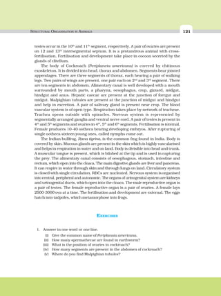 STRUCTURAL ORGANISATION IN ANIMALS 121
testes occur in the 10th
and 11th
segment, respectively. A pair of ovaries are present
on 12 and 13th
intersegmental septum. It is a protandrous animal with cross-
fertilisation. Fertilisation and development take place in cocoon secreted by the
glands of clitellum.
The body of Cockroach (Periplaneta americana) is covered by chitinous
exoskeleton. It is divided into head, thorax and abdomen. Segments bear jointed
appendages. There are three segments of thorax, each bearing a pair of walking
legs. Two pairs of wings are present, one pair each on 2nd
and 3rd
segment. There
are ten segments in abdomen. Alimentary canal is well developed with a mouth
surrounded by mouth parts, a pharynx, oesophagus, crop, gizzard, midgut,
hindgut and anus. Hepatic caecae are present at the junction of foregut and
midgut. Malpighian tubules are present at the junction of midgut and hindgut
and help in excretion. A pair of salivary gland is present near crop. The blood
vascular system is of open type. Respiration takes place by network of tracheae.
Trachea opens outside with spiracles. Nervous system is represented by
segmentally arranged ganglia and ventral nerve cord. A pair of testes is present in
4th
and 5th
segments and ovaries in 4th
, 5th
and 6th
segments. Fertilisation is internal.
Female produces 10-40 ootheca bearing developing embryos. After rupturing of
single ootheca sixteen young ones, called nymphs come out.
The Indian bullfrog, Rana tigrina, is the common frog found in India. Body is
covered by skin. Mucous glands are present in the skin which is highly vascularised
and helps in respiration in water and on land. Body is divisible into head and trunk.
A muscular tongue is present, which is bilobed at the tip and is used in capturing
the prey. The alimentary canal consists of oesophagous, stomach, intestine and
rectum, which open into the cloaca. The main digestive glands are liver and pancreas.
It can respire in water through skin and through lungs on land. Circulatory system
is closed with single circulation. RBCs are nucleated. Nervous system is organised
into central, peripheral and autonomic. The organs of urinogenital system are kidneys
and urinogenital ducts, which open into the cloaca. The male reproductive organ is
a pair of testes. The female reproductive organ is a pair of ovaries. A female lays
2500-3000 ova at a time. The fertilisation and development are external. The eggs
hatch into tadpoles, which metamorphose into frogs.
EXERCISES
1. Answer in one word or one line.
(i) Give the common name of Periplanata americana.
(ii) How many spermathecae are found in earthworm?
(iii) What is the position of ovaries in cockroach?
(iv) How many segments are present in the abdomen of cockroach?
(v) Where do you find Malpighian tubules?
 