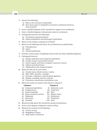 122 BIOLOGY
2. Answer the following:
(i) What is the function of nephridia?
(ii) How many types of nephridia are found in earthworm based on
their location?
3. Draw a labelled diagram of the reproductive organs of an earthworm.
4. Draw a labelled diagram of alimentary canal of a cockroach.
5. Distingusish between the followings
(a) Prostomium and peristomium
(b) Septal nephridium and pharyngeal nephridium
6. What are the cellular components of blood?
7. What are the following and where do you find them in animal body.
(a) Chondriocytes
(b) Axons
(c) Ciliated epithelium
8. Describe various types of epithelial tissues with the help of labelled diagrams.
9. Distinguish between
(a) Simple epithelium and compound epithelium
(b) Cardiac muscle and striated muscle
(c) Dense regular and dense irregular connective tissues
(d) Adipose and blood tissue
(e) Simple gland and compound gland
10. Mark the odd one in each series:
(a) Areolar tissue; blood; neuron; tendon
(b) RBC; WBC; platelets; cartilage
(c) Exocrine; endocrime; salivary gland; ligament
(d) Maxilla; mandible; labrum; antenae
(e) Protonema; mesothorax; metathorax; coxa
11. Match the terms in column I with those in column II:
Column I Column II
(a) Compound epithelium (i) Alimentry canal
(b) Compound eye (ii) Cockroach
(c) Septal nephridia (iii) Skin
(d) Open circulatory system (iv) Mosaic vision
(e) Typhlosole (v) Earthworm
(f) Osteocytes (vi) Phallomere
(g) Genitalia (vii) Bone
12. Mention breifly about the circulatory system of earthworm
13. Draw a neat diagram of digestive system of frog.
14. Mention the function of the following
(a) Ureters in frog
(b) Malpighian tubules
(c) Body wall in earthworm
 