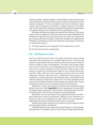 126 BIOLOGY
Schwann (1839), a British Zoologist, studied different types of animal cells
and reported that cells had a thin outer layer which is today known as the
‘plasma membrane’. He also concluded, based on his studies on plant
tissues, that the presence of cell wall is a unique character of the plant
cells. On the basis of this, Schwann proposed the hypothesis that the bodies
of animals and plants are composed of cells and products of cells.
Schleiden and Schwann together formulated the cell theory. This theory
however, did not explain as to how new cells were formed. Rudolf Virchow
(1855) first explained that cells divided and new cells are formed from
pre-existing cells (Omnis cellula-e cellula). He modified the hypothesis of
Schleiden and Schwann to give the cell theory a final shape. Cell theory
as understood today is:
(i) all living organisms are composed of cells and products of cells.
(ii) all cells arise from pre-existing cells.
8.3 AN OVERVIEW OF CELL
You have earlier observed cells in an onion peel and/or human cheek
cells under the microscope. Let us recollect their structure. The onion cell
which is a typical plant cell, has a distinct cell wall as its outer boundary
and just within it is the cell membrane. The cells of the human cheek
have an outer membrane as the delimiting structure of the cell. Inside
each cell is a dense membrane bound structure called nucleus. This
nucleus contains the chromosomes which in turn contain the genetic
material, DNA. Cells that have membrane bound nuclei are called
eukaryotic whereas cells that lack a membrane bound nucleus are
prokaryotic. In both prokaryotic and eukaryotic cells, a semi-fluid matrix
called cytoplasm occupies the volume of the cell. The cytoplasm is the
main arena of cellular activities in both the plant and animal cells. Various
chemical reactions occur in it to keep the cell in the ‘living state’.
Besides the nucleus, the eukaryotic cells have other membrane bound
distinct structures called organelles like the endoplasmic reticulum (ER),
the golgi complex, lysosomes, mitochondria, microbodies and vacuoles.
The prokaryotic cells lack such membrane bound organelles.
Ribosomes are non-membrane bound organelles found in all cells –
both eukaryotic as well as prokaryotic. Within the cell, ribosomes are
found not only in the cytoplasm but also within the two organelles –
chloroplasts (in plants) and mitochondria and on rough ER.
Animal cells contain another non-membrane bound organelle called
centriole which helps in cell division.
Cells differ greatly in size, shape and activities (Figure 8.1). For example,
Mycoplasmas, the smallest cells, are only 0.3 μm in length while bacteria
 