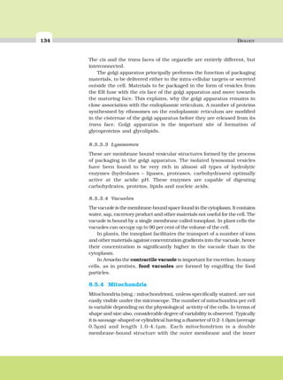 134 BIOLOGY
The cis and the trans faces of the organelle are entirely different, but
interconnected.
The golgi apparatus principally performs the function of packaging
materials, to be delivered either to the intra-cellular targets or secreted
outside the cell. Materials to be packaged in the form of vesicles from
the ER fuse with the cis face of the golgi apparatus and move towards
the maturing face. This explains, why the golgi apparatus remains in
close association with the endoplasmic reticulum. A number of proteins
synthesised by ribosomes on the endoplasmic reticulum are modified
in the cisternae of the golgi apparatus before they are released from its
trans face. Golgi apparatus is the important site of formation of
glycoproteins and glycolipids.
8.5.3.3 Lysosomes
These are membrane bound vesicular structures formed by the process
of packaging in the golgi apparatus. The isolated lysosomal vesicles
have been found to be very rich in almost all types of hydrolytic
enzymes (hydrolases – lipases, proteases, carbohydrases) optimally
active at the acidic pH. These enzymes are capable of digesting
carbohydrates, proteins, lipids and nucleic acids.
8.5.3.4 Vacuoles
The vacuole is the membrane-bound space found in the cytoplasm. It contains
water, sap, excretory product and other materials not useful for the cell. The
vacuole is bound by a single membrane called tonoplast. In plant cells the
vacuoles can occupy up to 90 per cent of the volume of the cell.
In plants, the tonoplast facilitates the transport of a number of ions
and other materials against concentration gradients into the vacuole, hence
their concentration is significantly higher in the vacuole than in the
cytoplasm.
In Amoeba the contractile vacuole is important for excretion. In many
cells, as in protists, food vacuoles are formed by engulfing the food
particles.
8.5.4 Mitochondria
Mitochondria (sing.: mitochondrion), unless specifically stained, are not
easily visible under the microscope. The number of mitochondria per cell
is variable depending on the physiological activity of the cells. In terms of
shape and size also, considerable degree of variability is observed. Typically
it is sausage-shaped or cylindrical having a diameter of 0.2-1.0μm (average
0.5μm) and length 1.0-4.1μm. Each mitochondrion is a double
membrane-bound structure with the outer membrane and the inner
 