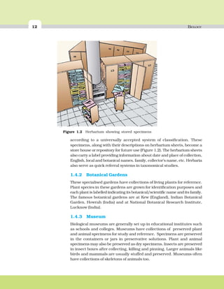 12 BIOLOGY
according to a universally accepted system of classification. These
specimens, along with their descriptions on herbarium sheets, become a
store house or repository for future use (Figure 1.2). The herbarium sheets
also carry a label providing information about date and place of collection,
English, local and botanical names, family, collector’s name, etc. Herbaria
also serve as quick referral systems in taxonomical studies.
1.4.2 Botanical Gardens
These specialised gardens have collections of living plants for reference.
Plant species in these gardens are grown for identification purposes and
each plant is labelled indicating its botanical/scientific name and its family.
The famous botanical gardens are at Kew (England), Indian Botanical
Garden, Howrah (India) and at National Botanical Research Institute,
Lucknow (India).
1.4.3 Museum
Biological museums are generally set up in educational institutes such
as schools and colleges. Museums have collections of preserved plant
and animal specimens for study and reference. Specimens are preserved
in the containers or jars in preservative solutions. Plant and animal
specimens may also be preserved as dry specimens. Insects are preserved
in insect boxes after collecting, killing and pinning. Larger animals like
birds and mammals are usually stuffed and preserved. Museums often
have collections of skeletons of animals too.
Figure 1.2 Herbarium showing stored specimens
 
