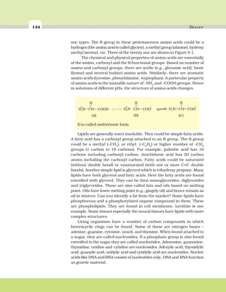 144 BIOLOGY
one types. The R group in these proteinaceous amino acids could be a
hydrogen (the amino acid is called glycine), a methyl group (alanine), hydroxy
methyl (serine), etc. Three of the twenty one are shown in Figure 9.1.
The chemical and physical properties of amino acids are essentially
of the amino, carboxyl and the R functional groups. Based on number of
amino and carboxyl groups, there are acidic (e.g., glutamic acid), basic
(lysine) and neutral (valine) amino acids. Similarly, there are aromatic
amino acids (tyrosine, phenylalanine, tryptophan). A particular property
of amino acids is the ionizable nature of –NH2
and –COOH groups. Hence
in solutions of different pHs, the structure of amino acids changes.
B is called zwitterionic form.
Lipids are generally water insoluble. They could be simple fatty acids.
A fatty acid has a carboxyl group attached to an R group. The R group
could be a methyl (–CH3
), or ethyl (–C2
H5
) or higher number of –CH2
groups (1 carbon to 19 carbons). For example, palmitic acid has 16
carbons including carboxyl carbon. Arachidonic acid has 20 carbon
atoms including the carboxyl carbon. Fatty acids could be saturated
(without double bond) or unsaturated (with one or more C=C double
bonds). Another simple lipid is glycerol which is trihydroxy propane. Many
lipids have both glycerol and fatty acids. Here the fatty acids are found
esterified with glycerol. They can be then monoglycerides, diglycerides
and triglycerides. These are also called fats and oils based on melting
point. Oils have lower melting point (e.g., gingely oil) and hence remain as
oil in winters. Can you identify a fat from the market? Some lipids have
phosphorous and a phosphorylated organic compound in them. These
are phospholipids. They are found in cell membrane. Lecithin is one
example. Some tissues especially the neural tissues have lipids with more
complex structures.
Living organisms have a number of carbon compounds in which
heterocyclic rings can be found. Some of these are nitrogen bases –
adenine, guanine, cytosine, uracil, and thymine. When found attached to
a sugar, they are called nucleosides. If a phosphate group is also found
esterified to the sugar they are called nucleotides. Adenosine, guanosine,
thymidine, uridine and cytidine are nucleosides. Adenylic acid, thymidylic
acid, guanylic acid, uridylic acid and cytidylic acid are nucleotides. Nucleic
acids like DNA and RNA consist of nucleotides only. DNA and RNA function
as genetic material.
 