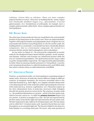 BIOMOLECULES 149
cellulose. Cotton fibre is cellulose. There are more complex
polysaccharides in nature. They have as building blocks, amino-sugars
and chemically modified sugars (e.g., glucosamine, N-acetyl
galactosamine, etc.). Exoskeletons of arthropods, for example, have a
complex polysaccharide called chitin. These complex polysaccharides are
heteropolymers.
9.6 NUCLEIC ACIDS
The other type of macromolecule that one would find in the acid insoluble
fraction of any living tissue is the nucleic acid. These are polynucleotides.
Together with polysaccharides and polypeptides these comprise the true
macromolecular fraction of any living tissue or cell. For nucleic acids, the
building block is a nucleotide. A nucleotide has three chemically distinct
components. One is a heterocyclic compound, the second is a
monosaccharide and the third a phosphoric acid or phosphate.
As you notice in Figure 9.1, the heterocyclic compounds in nucleic
acids are the nitrogenous bases named adenine, guanine, uracil, cytosine,
and thymine. Adenine and Guanine are substituted purines while the
rest are substituted pyrimidines. The skeletal heterocyclic ring is called
as purine and pyrimidine respectively. The sugar found in polynucleotides
is either ribose (a monosaccharide pentose) or 2’ deoxyribose. A nucleic
acid containing deoxyribose is called deoxyribonucleic acid (DNA) while
that which contains ribose is called ribonucleic acid (RNA).
9.7 STRUCTURE OF PROTEINS
Proteins, as mentioned earlier, are heteropolymers containing strings of
amino acids. Structure of molecules means different things in different
contexts. In inorganic chemistry, the structure invariably refers to the
molecular formulae (e.g., NaCl, MgCl2
, etc.). Organic chemists always write
a two dimensional view of the molecules while representing the structure
of the molecules (e.g., benzene, naphthalene, etc.). Physicists conjure up
the three dimensional views of molecular structures while biologists
describe the protein structure at four levels. The sequence of amino acids
i.e., the positional information in a protein – which is the first amino acid,
which is second, and so on – is called the primary structure (Figure 9.3)
of a protein. A protein is imagined as a line, the left end represented by
the first amino acid and the right end represented by the last amino acid.
The first aminoacid is also called as N-terminal amino acid. The last amino
acid is called the C-terminal amino acid. A protein thread does not exist
throughout as an extended rigid rod. The thread is folded in the form of a
helix (similar to a revolving staircase). Of course, only some portions of
 