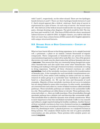 152 BIOLOGY
with T and C, respectively, on the other strand. There are two hydrogen
bonds between A and T. There are three hydrogen bonds between G and
C. Each strand appears like a helical staircase. Each step of ascent is
represented by a pair of bases. At each step of ascent, the strand turns
36°. One full turn of the helical strand would involve ten steps or ten base
pairs. Attempt drawing a line diagram. The pitch would be 34Å. The rise
per base pair would be 3.4Å. This form of DNA with the above mentioned
salient features is called B-DNA. In higher classes, you will be told that
there are more than a dozen forms of DNA named after English alphabets
with unique structural features.
9.9 DYNAMIC STATE OF BODY CONSTITUENTS – CONCEPT OF
METABOLISM
What we have learnt till now is that living organisms, be it a simple bacterial
cell, a protozoan, a plant or an animal, contain thousands of organic
compounds. These compounds or biomolecules are present in certain
concentrations (expressed as mols/cell or mols/litre etc.). One of the greatest
discoveries ever made was the observation that all these biomolecules have
a turn over. This means that they are constantly being changed into some
other biomolecules and also made from some other biomolecules. This
breaking and making is through chemical reactions constantly occuring
in living organisms. Together all these chemical reactions are called
metabolism. Each of the metabolic reactions results in the transformation
of biomolecules. A few examples for such metabolic transformations are:
removal of CO2
from amino acids making an amino acid into an amine,
removal of amino group in a nucleotide base; hydrolysis of a glycosidic
bond in a disaccharide, etc. We can list tens and thousands of such
examples. Majority of these metabolic reactions do not occur in isolation
but are always linked to some other reactions. In other words, metabolites
are converted into each other in a series of linked reactions called metabolic
pathways. These metabolic pathways are similar to the automobile traffic
in a city. These pathways are either linear or circular. These pathways criss-
cross each other, i.e., there are traffic junctions. Flow of metabolites through
metabolic pathway has a definite rate and direction like automobile traffic.
This metabolite flow is called the dynamic state of body constituents. What
is most important is that this interlinked metabolic traffic is very smooth
and without a single reported mishap for healthy conditions. Another feature
of these metabolic reactions is that every chemical reaction is a catalysed
reaction. There is no uncatalysed metabolic conversion in living systems.
Even CO2
dissolving in water, a physical process, is a catalysed reaction in
living systems. The catalysts which hasten the rate of a given metabolic
conversation are also proteins. These proteins with catalytic power are
named enzymes.
 