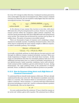BIOMOLECULES 155
for every 10°C change in either direction. Catalysed reactions proceed at
rates vastly higher than that of uncatalysed ones. When enzyme catalysed
reactions are observed, the rate would be vastly higher than the same but
uncatalysed reaction. For example
CO2 + H2O ⎯⎯⎯⎯⎯⎯⎯⎯⎯⎯→
Carbonic anhydrase
H2CO3
carbon dioxide water carbonic acid
In the absence of any enzyme this reaction is very slow, with about
200 molecules of H2
CO3
being formed in an hour. However, by using the
enzyme present within the cytoplasm called carbonic anhydrase, the
reaction speeds dramatically with about 600,000 molecules being formed
every second. The enzyme has accelerated the reaction rate by about 10
million times. The power of enzymes is incredible indeed!
There are thousands of types of enzymes each catalysing a unique
chemical or metabolic reaction. A multistep chemical reaction, when each
of the steps is catalysed by the same enzyme complex or different enzymes,
is called a metabolic pathway. For example,
Glucose → 2 Pyruvic acid
C6
H12
O6
+ O2
→ 2C3
H4
O3
+ 2H2
O
is actually a metabolic pathway in which glucose becomes pyruvic acid
through ten different enzyme catalysed metabolic reactions. When you
study respiration in Chapter 14 you will study these reactions. At this
stage you should know that this very metabolic pathway with one or two
additional reactions gives rise to a variety of metabolic end products. In
our skeletal muscle, under anaerobic conditions, lactic acid is formed.
Under normal aerobic conditions, pyruvic acid is formed. In yeast, during
fermentation, the same pathway leads to the production of ethanol
(alcohol). Hence, in different conditions different products are possible.
9.12.2 How do Enzymes bring about such High Rates of
Chemical Conversions?
To understand this we should study enzymes a little more. We have already
understood the idea of an ‘active site’. The chemical or metabolic conversion
refers to a reaction. The chemical which is converted into a product is
called a ‘substrate’. Hence enzymes, i.e. proteins with three dimensional
structures including an ‘active site’, convert a substrate (S) into a product
(P). Symbolically, this can be depicted as:
S → P
It is now understood that the substrate ‘S’ has to bind the enzyme at
its ‘active site’ within a given cleft or pocket. The substrate has to diffuse
 