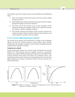 BIOMOLECULES 157
The catalytic cycle of an enzyme action can be described in the following
steps:
1. First, the substrate binds to the active site of the enzyme, fitting
into the active site.
2. The binding of the substrate induces the enzyme to alter its shape,
fitting more tightly around the substrate.
3. The active site of the enzyme, now in close proximity of the
substrate breaks the chemical bonds of the substrate and the
new enzyme- product complex is formed.
4. The enzyme releases the products of the reaction and the free
enzyme is ready to bind to another molecule of the substrate and
run through the catalytic cycle once again.
9.12.4 Factors Affecting Enzyme Activity
The activity of an enzyme can be affected by a change in the conditions
which can alter the tertiary structure of the protein. These include
temperature, pH, change in substrate concentration or binding of specific
chemicals that regulate its activity.
Temperature and pH
Enzymes generally function in a narrow range of temperature and pH
(Figure 9.7). Each enzyme shows its highest activity at a particular
temperature and pH called the optimum temperature and optimum pH.
Activity declines both below and above the optimum value. Low
temperature preserves the enzyme in a temporarily inactive state whereas
high temperature destroys enzymatic activity because proteins are
denatured by heat.
Figure 9.7 Effect of change in : (a) pH (b) Temperature and (c) Concentration of
substrate on enzyme activity
Vmax
Velocityofreaction(V)
[S]
V
2
max
Km
(a) (b) (c)
pH Temperature
Enzymeactivity
 