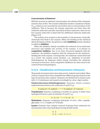 158 BIOLOGY
Concentration of Substrate
With the increase in substrate concentration, the velocity of the enzymatic
reaction rises at first. The reaction ultimately reaches a maximum velocity
(Vmax) which is not exceeded by any further rise in concentration of the
substrate. This is because the enzyme molecules are fewer than the
substrate molecules and after saturation of these molecules, there are no
free enzyme molecules to bind with the additional substrate molecules
(Figure 9.7).
The activity of an enzyme is also sensitive to the presence of specific
chemicals that bind to the enzyme. When the binding of the chemical
shuts off enzyme activity, the process is called inhibition and the chemical
is called an inhibitor.
When the inhibitor closely resembles the substrate in its molecular
structure and inhibits the activity of the enzyme, it is known as
competitive inhibitor. Due to its close structural similarity with the
substrate, the inhibitor competes with the substrate for the substrate-
binding site of the enzyme. Consequently, the substrate cannot bind and
as a result, the enzyme action declines, e.g., inhibition of succinic
dehydrogenase by malonate which closely resembles the substrate
succinate in structure. Such competitive inhibitors are often used in the
control of bacterial pathogens.
9.12.5 Classification and Nomenclature of Enzymes
Thousands of enzymes have been discovered, isolated and studied. Most
of these enzymes have been classified into different groups based on the
type of reactions they catalyse. Enzymes are divided into 6 classes each
with 4-13 subclasses and named accordingly by a four-digit number.
Oxidoreductases/dehydrogenases: Enzymes which catalyse
oxidoreduction between two substrates S and S’ e.g.,
S reduced + S’ oxidised ⎯ →⎯ S oxidised + S’ reduced.
Transferases: Enzymes catalysing a transfer of a group, G (other than
hydrogen) between a pair of substrate S and S’ e.g.,
S - G + S’ ⎯ →⎯ S + S’ - G
Hydrolases: Enzymes catalysing hydrolysis of ester, ether, peptide,
glycosidic, C-C, C-halide or P-N bonds.
Lyases: Enzymes that catalyse removal of groups from substrates by
mechanisms other than hydrolysis leaving double bonds.
 
