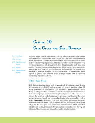 162 BIOLOGY
Are you aware that all organisms, even the largest, start their life from a
single cell? You may wonder how a single cell then goes on to form such
large organisms. Growth and reproduction are characteristics of cells,
indeed of all living organisms. All cells reproduce by dividing into two,
with each parental cell giving rise to two daughter cells each time they
divide. These newly formed daughter cells can themselves grow and divide,
giving rise to a new cell population that is formed by the growth and
division of a single parental cell and its progeny. In other words, such
cycles of growth and division allow a single cell to form a structure
consisting of millions of cells.
10.1 CELL CYCLE
Cell division is a very important process in all living organisms. During
the division of a cell, DNA replication and cell growth also take place. All
these processes, i.e., cell division, DNA replication, and cell growth, hence,
have to take place in a coordinated way to ensure correct division and
formation of progeny cells containing intact genomes. The sequence of
events by which a cell duplicates its genome, synthesises the other
constituents of the cell and eventually divides into two daughter cells is
termed cell cycle. Although cell growth (in terms of cytoplasmic increase)
is a continuous process, DNA synthesis occurs only during one specific
stage in the cell cycle. The replicated chromosomes (DNA) are then
distributed to daughter nuclei by a complex series of events during cell
division. These events are themselves under genetic control.
CELL CYCLE AND CELL DIVISION
CHAPTER 10
10.1 Cell Cycle
10.2 M Phase
10.3 Significance of
Mitosis
10.4 Meiosis
10.5 Significance of
Meiosis
 