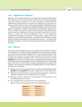CELL CYCLE AND CELL DIVISION 167
10.3 Significance of Mitosis
Mitosis or the equational division is usually restricted to the diploid cells
only. However, in some lower plants and in some social insects haploid
cells also divide by mitosis. It is very essential to understand the
significance of this division in the life of an organism. Are you aware of
some examples where you have studied about haploid and diploid insects?
Mitosis results in the production of diploid daughter cells with identical
genetic complement usually. The growth of multicellular organisms is
due to mitosis. Cell growth results in disturbing the ratio between the
nucleus and the cytoplasm. It therefore becomes essential for the cell to
divide to restore the nucleo-cytoplasmic ratio. A very significant
contribution of mitosis is cell repair. The cells of the upper layer of the
epidermis, cells of the lining of the gut, and blood cells are being constantly
replaced. Mitotic divisions in the meristematic tissues – the apical and
the lateral cambium, result in a continuous growth of plants throughout
their life.
10.4 MEIOSIS
The production of offspring by sexual reproduction includes the fusion
of two gametes, each with a complete haploid set of chromosomes. Gametes
are formed from specialised diploid cells. This specialised kind of cell
division that reduces the chromosome number by half results in the
production of haploid daughter cells. This kind of division is called
meiosis. Meiosis ensures the production of haploid phase in the life cycle
of sexually reproducing organisms whereas fertilisation restores the diploid
phase. We come across meiosis during gametogenesis in plants and
animals. This leads to the formation of haploid gametes. The key features
of meiosis are as follows:
Meiosis involves two sequential cycles of nuclear and cell division called
meiosis I and meiosis II but only a single cycle of DNA replication.
Meiosis I is initiated after the parental chromosomes have replicated
to produce identical sister chromatids at the S phase.
Meiosis involves pairing of homologous chromosomes and
recombination between them.
Four haploid cells are formed at the end of meiosis II.
Meiotic events can be grouped under the following phases:
Meiosis I Meiosis II
Prophase I Prophase II
Metaphase I Metaphase II
Anaphase I Anaphase II
Telophase I Telophase II
 