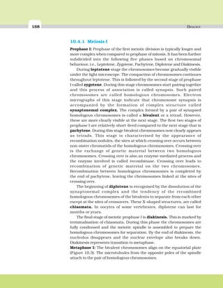 168 BIOLOGY
10.4.1 Meiosis I
Prophase I: Prophase of the first meiotic division is typically longer and
more complex when compared to prophase of mitosis. It has been further
subdivided into the following five phases based on chromosomal
behaviour, i.e., Leptotene, Zygotene, Pachytene, Diplotene and Diakinesis.
During leptotene stage the chromosomes become gradually visible
under the light microscope. The compaction of chromosomes continues
throughout leptotene. This is followed by the second stage of prophase
I called zygotene. During this stage chromosomes start pairing together
and this process of association is called synapsis. Such paired
chromosomes are called homologous chromosomes. Electron
micrographs of this stage indicate that chromosome synapsis is
accompanied by the formation of complex structure called
synaptonemal complex. The complex formed by a pair of synapsed
homologous chromosomes is called a bivalent or a tetrad. However,
these are more clearly visible at the next stage. The first two stages of
prophase I are relatively short-lived compared to the next stage that is
pachytene. During this stage bivalent chromosomes now clearly appears
as tetrads. This stage is characterised by the appearance of
recombination nodules, the sites at which crossing over occurs between
non-sister chromatids of the homologous chromosomes. Crossing over
is the exchange of genetic material between two homologous
chromosomes. Crossing over is also an enzyme-mediated process and
the enzyme involved is called recombinase. Crossing over leads to
recombination of genetic material on the two chromosomes.
Recombination between homologous chromosomes is completed by
the end of pachytene, leaving the chromosomes linked at the sites of
crossing over.
The beginning of diplotene is recognised by the dissolution of the
synaptonemal complex and the tendency of the recombined
homologous chromosomes of the bivalents to separate from each other
except at the sites of crossovers. These X-shaped structures, are called
chiasmata. In oocytes of some vertebrates, diplotene can last for
months or years.
The final stage of meiotic prophase I is diakinesis. This is marked by
terminalisation of chiasmata. During this phase the chromosomes are
fully condensed and the meiotic spindle is assembled to prepare the
homologous chromosomes for separation. By the end of diakinesis, the
nucleolus disappears and the nuclear envelope also breaks down.
Diakinesis represents transition to metaphase.
Metaphase I: The bivalent chromosomes align on the equatorial plate
(Figure 10.3). The microtubules from the opposite poles of the spindle
attach to the pair of homologous chromosomes.
 
