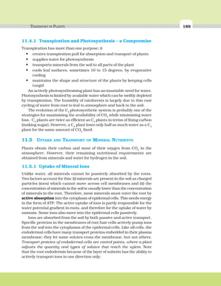 TRANSPORT IN PLANTS 189
11.4.1 Transpiration and Photosynthesis – a Compromise
Transpiration has more than one purpose; it
• creates transpiration pull for absorption and transport of plants
• supplies water for photosynthesis
• transports minerals from the soil to all parts of the plant
• cools leaf surfaces, sometimes 10 to 15 degrees, by evaporative
cooling
• maintains the shape and structure of the plants by keeping cells
turgid
An actively photosynthesising plant has an insatiable need for water.
Photosynthesis is limited by available water which can be swiftly depleted
by transpiration. The humidity of rainforests is largely due to this vast
cycling of water from root to leaf to atmosphere and back to the soil.
The evolution of the C4
photosynthetic system is probably one of the
strategies for maximising the availability of CO2
while minimising water
loss. C4
plants are twice as efficient as C3
plants in terms of fixing carbon
(making sugar). However, a C4
plant loses only half as much water as a C3
plant for the same amount of CO2
fixed.
11.5 UPTAKE AND TRANSPORT OF MINERAL NUTRIENTS
Plants obtain their carbon and most of their oxygen from CO2
in the
atmosphere. However, their remaining nutritional requirements are
obtained from minerals and water for hydrogen in the soil.
11.5.1 Uptake of Mineral Ions
Unlike water, all minerals cannot be passively absorbed by the roots.
Two factors account for this: (i) minerals are present in the soil as charged
particles (ions) which cannot move across cell membranes and (ii) the
concentration of minerals in the soil is usually lower than the concentration
of minerals in the root. Therefore, most minerals must enter the root by
active absorption into the cytoplasm of epidermal cells. This needs energy
in the form of ATP. The active uptake of ions is partly responsible for the
water potential gradient in roots, and therefore for the uptake of water by
osmosis. Some ions also move into the epidermal cells passively.
Ions are absorbed from the soil by both passive and active transport.
Specific proteins in the membranes of root hair cells actively pump ions
from the soil into the cytoplasms of the epidermal cells. Like all cells, the
endodermal cells have many transport proteins embedded in their plasma
membrane; they let some solutes cross the membrane, but not others.
Transport proteins of endodermal cells are control points, where a plant
adjusts the quantity and types of solutes that reach the xylem. Note
that the root endodermis because of the layer of suberin has the ability to
actively transport ions in one direction only.
 