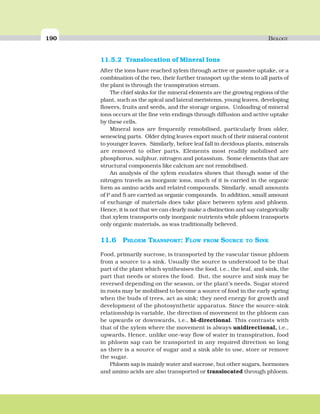 190 BIOLOGY
11.5.2 Translocation of Mineral Ions
After the ions have reached xylem through active or passive uptake, or a
combination of the two, their further transport up the stem to all parts of
the plant is through the transpiration stream.
The chief sinks for the mineral elements are the growing regions of the
plant, such as the apical and lateral meristems, young leaves, developing
flowers, fruits and seeds, and the storage organs. Unloading of mineral
ions occurs at the fine vein endings through diffusion and active uptake
by these cells.
Mineral ions are frequently remobilised, particularly from older,
senescing parts. Older dying leaves export much of their mineral content
to younger leaves. Similarly, before leaf fall in decidous plants, minerals
are removed to other parts. Elements most readily mobilised are
phosphorus, sulphur, nitrogen and potassium. Some elements that are
structural components like calcium are not remobilised.
An analysis of the xylem exudates shows that though some of the
nitrogen travels as inorganic ions, much of it is carried in the organic
form as amino acids and related compounds. Similarly, small amounts
of P and S are carried as organic compounds. In addition, small amount
of exchange of materials does take place between xylem and phloem.
Hence, it is not that we can clearly make a distinction and say categorically
that xylem transports only inorganic nutrients while phloem transports
only organic materials, as was traditionally believed.
11.6 PHLOEM TRANSPORT: FLOW FROM SOURCE TO SINK
Food, primarily sucrose, is transported by the vascular tissue phloem
from a source to a sink. Usually the source is understood to be that
part of the plant which synthesises the food, i.e., the leaf, and sink, the
part that needs or stores the food. But, the source and sink may be
reversed depending on the season, or the plant’s needs. Sugar stored
in roots may be mobilised to become a source of food in the early spring
when the buds of trees, act as sink; they need energy for growth and
development of the photosynthetic apparatus. Since the source-sink
relationship is variable, the direction of movement in the phloem can
be upwards or downwards, i.e., bi-directional. This contrasts with
that of the xylem where the movement is always unidirectional, i.e.,
upwards. Hence, unlike one-way flow of water in transpiration, food
in phloem sap can be transported in any required direction so long
as there is a source of sugar and a sink able to use, store or remove
the sugar.
Phloem sap is mainly water and sucrose, but other sugars, hormones
and amino acids are also transported or translocated through phloem.
 