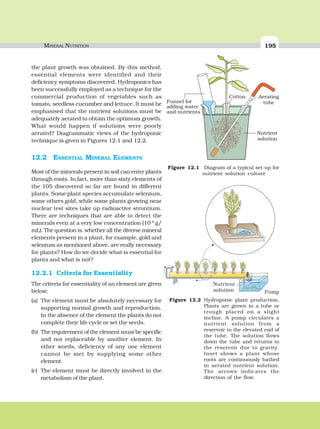 MINERAL NUTRITION 195
the plant growth was obtained. By this method,
essential elements were identified and their
deficiency symptoms discovered. Hydroponics has
been successfully employed as a technique for the
commercial production of vegetables such as
tomato, seedless cucumber and lettuce. It must be
emphasised that the nutrient solutions must be
adequately aerated to obtain the optimum growth.
What would happen if solutions were poorly
aerated? Diagrammatic views of the hydroponic
technique is given in Figures 12.1 and 12.2.
12.2 ESSENTIAL MINERAL ELEMENTS
Most of the minerals present in soil can enter plants
through roots. In fact, more than sixty elements of
the 105 discovered so far are found in different
plants. Some plant species accumulate selenium,
some others gold, while some plants growing near
nuclear test sites take up radioactive strontium.
There are techniques that are able to detect the
minerals even at a very low concentration (10-8
g/
mL). The question is, whether all the diverse mineral
elements present in a plant, for example, gold and
selenium as mentioned above, are really necessary
for plants? How do we decide what is essential for
plants and what is not?
12.2.1 Criteria for Essentiality
The criteria for essentiality of an element are given
below:
(a) The element must be absolutely necessary for
supporting normal growth and reproduction.
In the absence of the element the plants do not
complete their life cycle or set the seeds.
(b) The requirement of the element must be specific
and not replaceable by another element. In
other words, deficiency of any one element
cannot be met by supplying some other
element.
(c) The element must be directly involved in the
metabolism of the plant.
Figure 12.1 Diagram of a typical set-up for
nutrient solution culture
Figure 12.2 Hydroponic plant production.
Plants are grown in a tube or
trough placed on a slight
incline. A pump circulates a
nutrient solution from a
reservoir to the elevated end of
the tube. The solution flows
down the tube and returns to
the reservoir due to gravity.
Inset shows a plant whose
roots are continuously bathed
in aerated nutrient solution.
The arrows indicates the
direction of the flow.
Nutrient
solution Pump
 