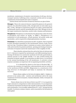 MINERAL NUTRITION 197
membrane, maintenance of osmotic concentration of cell sap, electron-
transport systems, buffering action, enzymatic activity and act as major
constituents of macromolecules and co-enzymes.
Various forms and functions of mineral elements are given below.
Nitrogen : This is the mineral element required by plants in the greatest
amount. It is absorbed mainly as NO3
–
though some are also taken up as
NO2
–
or NH4
+
. Nitrogen is required by all parts of a plant, particularly the
meristematic tissues and the metabolically active cells. Nitrogen is one of
the major constituents of proteins, nucleic acids, vitamins and hormones.
Phosphorus: Phosphorus is absorbed by the plants from soil in the form
of phosphate ions (either as H PO2 4
−
or HPO4
2−
). Phosphorus is a
constituent of cell membranes, certain proteins, all nucleic acids and
nucleotides, and is required for all phosphorylation reactions.
Potassium: It is absorbed as potassium ion (K+
). In plants, this is required
in more abundant quantities in the meristematic tissues, buds, leaves
and root tips. Potassium helps to maintain an anion-cation balance in
cells and is involved in protein synthesis, opening and closing of stomata,
activation of enzymes and in the maintenance of the turgidity of cells.
Plant absorbs calcium from the soil in the form of calcium ions
(Ca2+
). Calcium is required by meristematic and differentiating tissues.
During cell division it is used in the synthesis of cell wall, particularly as
calcium pectate in the middle lamella. It is also needed during the
formation of mitotic spindle. It accumulates in older leaves. It is involved
in the normal functioning of the cell membranes. It activates certain
enzymes and plays an important role in regulating metabolic activities.
It is absorbed by plants in the form of divalent Mg2+
. It
activates the enzymes of respiration, photosynthesis and are involved
in the synthesis of DNA and RNA. Magnesium is a constituent of the
ring structure of chlorophyll and helps to maintain the ribosome
structure.
Plants obtain sulphur in the form of sulphate ( )SO4
2−
. Sulphur is
present in two amino acids – cysteine and methionine and is the main
constituent of several coenzymes, vitamins (thiamine, biotin, Coenzyme A)
and ferredoxin.
Plants obtain iron in the form of ferric ions (Fe3+
). It is required in
larger amounts in comparison to other micronutrients. It is an important
constituent of proteins involved in the transfer of electrons like ferredoxin
and cytochromes. It is reversibly oxidised from Fe2+
to Fe3+
during electron
transfer. It activates catalase enzyme, and is essential for the formation of
chlorophyll.
 