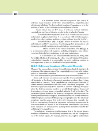 198 BIOLOGY
It is absorbed in the form of manganous ions (Mn2+
). It
activates many enzymes involved in photosynthesis, respiration and
nitrogen metabolism. The best defined function of manganese is in the
splitting of water to liberate oxygen during photosynthesis.
Plants obtain zinc as Zn2+
ions. It activates various enzymes,
especially carboxylases. It is also needed in the synthesis of auxin.
It is absorbed as cupric ions (Cu2+
). It is essential for the overall
metabolism in plants. Like iron, it is associated with certain enzymes
involved in redox reactions and is reversibly oxidised from Cu+
to Cu2+
.
It is absorbed as BO3
3−
or B O4 7
2−
. Boron is required for uptake
and utilisation of Ca2+
, membrane functioning, pollen germination, cell
elongation, cell differentiation and carbohydrate translocation.
Plants obtain it in the form of molybdate ions ( )MoO2
2+
. It
is a component of several enzymes, including nitrogenase and nitrate
reductase both of which participate in nitrogen metabolism.
It is absorbed in the form of chloride anion (Cl–
). Along with
Na+
and K+
, it helps in determining the solute concentration and the anion-
cation balance in cells. It is essential for the water-splitting reaction in
photosynthesis, a reaction that leads to oxygen evolution.
12.2.3 Deficiency Symptoms of Essential Elements
Whenever the supply of an essential element becomes limited, plant growth
is retarded. The concentration of the essential element below which plant
growth is retarded is termed as The element is
said to be deficient when present below the critical concentration.
Since each element has one or more specific structural or functional
role in plants, in the absence of any particular element, plants show certain
morphological changes. These morphological changes are indicative of
certain element deficiencies and are called deficiency symptoms. The
deficiency symptoms vary from element to element and they disappear
when the deficient mineral nutrient is provided to the plant. However, if
deprivation continues, it may eventually lead to the death of the plant. The
parts of the plants that show the deficiency symptoms also depend on the
mobility of the element in the plant. For elements that are actively mobilised
within the plants and exported to young developing tissues, the deficiency
symptoms tend to appear first in the older tissues. For example, the
deficiency symptoms of nitrogen, potassium and magnesium are visible
first in the senescent leaves. In the older leaves, biomolecules containing
these elements are broken down, making these elements available for
mobilising to younger leaves.
The deficiency symptoms tend to appear first in the young tissues
whenever the elements are relatively immobile and are not transported
out of the mature organs, for example, elements like sulphur and calcium
 