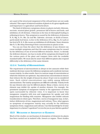 MINERAL NUTRITION 199
are a part of the structural component of the cell and hence are not easily
released. This aspect of mineral nutrition of plants is of a great significance
and importance to agriculture and horticulture.
The kind of deficiency symptoms shown in plants include chlorosis,
necrosis, stunted plant growth, premature fall of leaves and buds, and
inhibition of cell division. Chlorosis is the loss of chlorophyll leading to
yellowing in leaves. This symptom is caused by the deficiency of elements
N, K, Mg, S, Fe, Mn, Zn and Mo. Likewise, necrosis, or death of tissue,
particularly leaf tissue, is due to the deficiency of Ca, Mg, Cu, K. Lack or
low level of N, K, S, Mo causes an inhibition of cell division. Some elements
like N, S, Mo delay flowering if their concentration in plants is low.
You can see from the above that the deficiency of any element can
cause multiple symptoms and that the same symptoms may be caused
by the deficiency of one of several different elements. Hence, to identify
the deficient element, one has to study all the symptoms developed in all
the various parts of the plant and compare them with the available
standard tables. We must also be aware that different plants also respond
differently to the deficiency of the same element.
12.2.4 Toxicity of Micronutrients
The requirement of micronutrients is always in low amounts while their
moderate decrease causes the deficiency symptoms and a moderate increase
causes toxicity. In other words, there is a narrow range of concentration at
which the elements are optimum. Any mineral ion concentration in tissues
that reduces the dry weight of tissues by about 10 per cent is considered
toxic. Such critical concentrations vary widely among different
micronutrients. The toxicity symptoms are difficult to identify. Toxicity levels
for any element also vary for different plants. Many a times, excess of an
element may inhibit the uptake of another element. For example, the
prominent symptom of manganese toxicity is the appearance of brown
spots surrounded by chlorotic veins. It is important to know that
manganese competes with iron and magnesium for uptake and with
magnesium for binding with enzymes. Manganese also inhibit calcium
translocation in shoot apex. Therefore, excess of manganese may, in fact,
induce deficiencies of iron, magnesium and calcium. Thus, what appears
as symptoms of manganese toxicity may actually be the deficiency
symptoms of iron, magnesium and calcium. Can this knowledge be of some
importance to a farmer? a gardener? or even for you in your kitchen-garden?
12.3 MECHANISM OF ABSORPTION OF ELEMENTS
Much of the studies on mechanism of absorption of elements by plants
has been carried out in isolated cells, tissues or organs. These studies
 