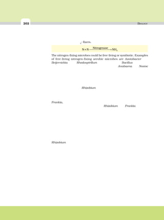 202 BIOLOGY
2
- fixers.
N N NH
Nitrogenase
≡ ⎯ →⎯⎯⎯⎯⎯⎯ 3
The nitrogen-fixing microbes could be free-living or symbiotic. Examples
of free-living nitrogen-fixing aerobic microbes are Azotobacter
Beijernickia Rhodospirillum Bacillus
Anabaena Nostoc
Rhizobium
Frankia,
Rhizobium Frankia
Rhizobium
 