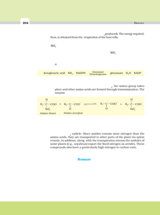 204 BIOLOGY
3
produced). The energy required,
thus, is obtained from the respiration of the host cells.
NH4
+
NH4
+
α
2
, the amino group takes
place and other amino acids are formed through transamination. The
enzyme
4 2
Glutamate
Dehydrogenase
ketoglutaric acid NH NADPH glutamate H O NADP
2
–
radicle. Since amides contain more nitrogen than the
amino acids, they are transported to other parts of the plant via xylem
vessels. In addition, along with the transpiration stream the nodules of
some plants (e.g., soyabean) export the fixed nitrogen as ureides. These
compounds also have a particularly high nitrogen to carbon ratio.
SUMMARY
 