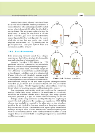 PHOTOSYNTHESIS IN HIGHER PLANTS 207
Another experiment you may have carried out
is the half-leaf experiment, where a part of a leaf is
enclosed in a test tube containing some KOH soaked
cotton (which absorbs CO2
), while the other half is
exposed to air. The setup is then placed in light for
some time. On testing for starch later in the two
halves of the leaf, you must have found that the
exposed part of the leaf tested positive for starch
while the portion that was in the tube, tested
negative. This showed that CO2
was required for
photosynthesis. Can you explain how this
conclusion could be drawn?
13.2 EARLY EXPERIMENTS
It is interesting to learn about those simple
experiments that led to a gradual development in
our understanding of photosynthesis.
Joseph Priestley (1733-1804) in 1770
performed a series of experiments that revealed the
essential role of air in the growth of green plants.
Priestley, you may recall, discovered oxygen in
1774. Priestley observed that a candle burning in
a closed space – a bell jar, soon gets extinguished
(Figure 13.1 a, b, c, d). Similarly, a mouse would
soon suffocate in a closed space. He concluded that
a burning candle or an animal that breathe the air,
both somehow, damage the air. But when he placed a mint plant in the
same bell jar, he found that the mouse stayed alive and the candle
continued to burn. Priestley hypothesised as follows: Plants restore to
the air whatever breathing animals and burning candles remove.
Can you imagine how Priestley would have conducted the experiment
using a candle and a plant? Remember, he would need to rekindle the
candle to test whether it burns after a few days. How many different
ways can you think of to light the candle without disturbing the set-up?
Using a similar setup as the one used by Priestley, but by placing it
once in the dark and once in the sunlight, Jan Ingenhousz (1730-1799)
showed that sunlight is essential to the plant process that somehow
purifies the air fouled by burning candles or breathing animals.
Ingenhousz in an elegant experiment with an aquatic plant showed that
in bright sunlight, small bubbles were formed around the green parts
while in the dark they did not. Later he identified these bubbles to be of
oxygen. Hence he showed that it is only the green part of the plants that
could release oxygen.
(a)
(c)
(b)
(d)
Figure 13.1 Priestley’s experiment
 