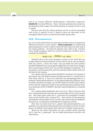220 BIOLOGY
rich in an enzyme Ribulose bisphosphate carboxylase-oxygenase
(RuBisCO), but lack PEPcase. Thus, the basic pathway that results in
the formation of the sugars, the Calvin pathway, is common to the C3
and
C4
plants.
Did you note that the Calvin pathway occurs in all the mesophyll
cells of the C3
plants? In the C4
plants it does not take place in the
mesophyll cells but does so only in the bundle sheath cells.
13.9 PHOTORESPIRATION
Let us try and understand one more process that creates an important
difference between C3
and C4
plants – Photorespiration. To understand
photorespiration we have to know a little bit more about the first step of
the Calvin pathway – the first CO2
fixation step. This is the reaction
where RuBP combines with CO2
to form 2 molecules of 3PGA, that is
catalysed by RuBisCO.
RuBP CO PGARubisco+ ⎯ →⎯⎯⎯⎯⎯ ×2 2 3
RuBisCO that is the most abundant enzyme in the world (Do you
wonder why?) is characterised by the fact that its active site can bind to
both CO2
and O2
– hence the name. Can you think how this could be
possible? RuBisCO has a much greater affinity for CO2
than for O2
. Imagine
what would happen if this were not so! This binding is competitive. It is
the relative concentration of O2
and CO2
that determines which of the two
will bind to the enzyme.
In C3
plants some O2
does bind to RuBisCO, and hence CO2
fixation is
decreased. Here the RuBP instead of being converted to 2 molecules of
PGA binds with O2
to form one molecule and phosphoglycolate in a
pathway called photorespiration. In the photorespiratory pathway, there
is neither synthesis of sugars, nor of ATP. Rather it results in the release
of CO2
with the utilisation of ATP. In the photorespiratory pathway there
is no synthesis of ATP or NADPH. Therefore, photorespiration is a wasteful
process.
In C4
plants photorespiration does not occur. This is because they
have a mechanism that increases the concentration of CO2
at the enzyme
site. This takes place when the C4
acid from the mesophyll is broken
down in the bundle cells to release CO2
– this results in increasing the
intracellular concentration of CO2
. In turn, this ensures that the RuBisCO
functions as a carboxylase minimising the oxygenase activity.
Now that you know that the C4
plants lack photorespiration, you
probably can understand why productivity and yields are better in these
plants. In addition these plants show tolerance to higher temperatures.
Based on the above discussion can you compare plants showing
the C3
and the C4
pathway? Use the table format given and fill in the
information.
 