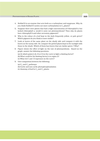 PHOTOSYNTHESIS IN HIGHER PLANTS 225
4. RuBisCO is an enzyme that acts both as a carboxylase and oxygenase. Why do
you think RuBisCO carries out more carboxylation in C4
plants?
5. Suppose there were plants that had a high concentration of Chlorophyll b, but
lacked chlorophyll a, would it carry out photosynthesis? Then why do plants
have chlorophyll b and other accessory pigments?
6. Why is the colour of a leaf kept in the dark frequently yellow, or pale green?
Which pigment do you think is more stable?
7. Look at leaves of the same plant on the shady side and compare it with the
leaves on the sunny side. Or, compare the potted plants kept in the sunlight with
those in the shade. Which of them has leaves that are darker green ? Why?
8. Figure shows the effect of light on the rate of photosynthesis. Based on the
graph, answer the following questions:
(a) At which point/s (A, B or C) in the curve is light a limiting factor?
(b) What could be the limiting factor/s in region A?
(c) What do C and D represent on the curve?
9. Give comparison between the following:
(a) C3
and C4
pathways
(b) Cyclic and non-cyclic photophosphorylation
(c) Anatomy of leaf in C3
and C4
plants
 