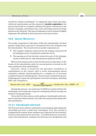 RESPIRATION IN PLANTS 231
needed for cellular metabolism? In eukaryotes these steps take place
within the mitochondria and this requires O2
.Aerobic respiration is the
process that leads to a complete oxidation of organic substances in the
presence of oxygen, and releases CO2
, water and a large amount of energy
present in the substrate. This type of respiration is most common in higher
organisms. We will look at these processes in the next section.
14.4 AEROBIC RESPIRATION
For aerobic respiration to take place within the mitochondria, the final
product of glycolysis, pyruvate is transported from the cytoplasm into
the mitochondria. The crucial events in aerobic respiration are:
• The complete oxidation of pyruvate by the stepwise removal of all
the hydrogen atoms, leaving three molecules of CO2.
• The passing on of the electrons removed as part of the hydrogen
atoms to molecular O2
with simultaneous synthesis of ATP.
What is interesting to note is that the first process takes place in the
matrix of the mitochondria while the second process is located on the
inner membrane of the mitochondria.
Pyruvate, which is formed by the glycolytic catabolism of
carbohydrates in the cytosol, after it enters mitochondrial matrix
undergoes oxidative decarboxylation by a complex set of reactions
catalysed by pyruvic dehydrogenase. The reactions catalysed by pyruvic
dehydrogenase require the participation of several coenzymes, including
NAD+
and Coenzyme A.
+ +
+
+ + ⎯⎯⎯⎯⎯⎯⎯⎯⎯⎯⎯⎯⎯→ + + +2
2Mg
Pyruvatedehydrogenase
Pyruvic acid CoA NAD Acetyl CoA CO NADH H
During this process, two molecules of NADH are produced from the
metabolism of two molecules of pyruvic acid (produced from one glucose
molecule during glycolysis).
The acetyl CoA then enters a cyclic pathway, tricarboxylic acid cycle,
more commonly called as Krebs’ cycle after the scientist Hans Krebs who
first elucidated it.
14.4.1 Tricarboxylic Acid Cycle
The TCA cycle starts with the condensation of acetyl group with oxaloacetic
acid (OAA) and water to yield citric acid (Figure 14.3). The reaction is
catalysed by the enzyme citrate synthase and a molecule of CoA is released.
Citrate is then isomerised to isocitrate. It is followed by two successive
steps of decarboxylation, leading to the formation of α-ketoglutaric acid
 