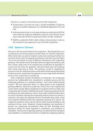RESPIRATION IN PLANTS 235
Now let us compare fermentation and aerobic respiration:
• Fermentation accounts for only a partial breakdown of glucose
whereas in aerobic respiration it is completely degraded to CO2
and
H2
O.
• In fermentation there is a net gain of only two molecules of ATP for
each molecule of glucose degraded to pyruvic acid whereas many
more molecules of ATP are generated under aerobic conditions.
• NADH is oxidised to NAD+
rather slowly in fermentation, however
the reaction is very vigorous in case of aerobic respiration.
14.6 AMPHIBOLIC PATHWAY
Glucose is the favoured substrate for respiration. All carbohydrates are
usually first converted into glucose before they are used for respiration.
Other substrates can also be respired, as has been mentioned earlier, but
then they do not enter the respiratory pathway at the first step. See Figure
14.6 to see the points of entry of different substrates in the respiratory
pathway. Fats would need to be broken down into glycerol and fatty acids
first. If fatty acids were to be respired they would first be degraded to
acetyl CoA and enter the pathway. Glycerol would enter the pathway
after being converted to PGAL. The proteins would be degraded by
proteases and the individual amino acids (after deamination) depending
on their structure would enter the pathway at some stage within the Krebs’
cycle or even as pyruvate or acetyl CoA.
Since respiration involves breakdown of substrates, the respiratory
process has traditionally been considered a catabolic process and the
respiratory pathway as a catabolic pathway. But is this understanding
correct? We have discussed above, at which points in the respiratory
pathway different substrates would enter if they were to be respired and
used to derive energy. What is important to recognise is that it is these very
compounds that would be withdrawn from the respiratory pathway for the
synthesis of the said substrates. Hence, fatty acids would be broken down
to acetyl CoA before entering the respiratory pathway when it is used as a
substrate. But when the organism needs to synthesise fatty acids, acetyl
CoA would be withdrawn from the respiratory pathway for it. Hence, the
respiratory pathway comes into the picture both during breakdown and
synthesis of fatty acids. Similarly, during breakdown and synthesis of
protein too, respiratory intermediates form the link. Breaking down
processes within the living organism is catabolism, and synthesis is
anabolism. Because the respiratory pathway is involved in both anabolism
and catabolism, it would hence be better to consider the respiratory pathway
 