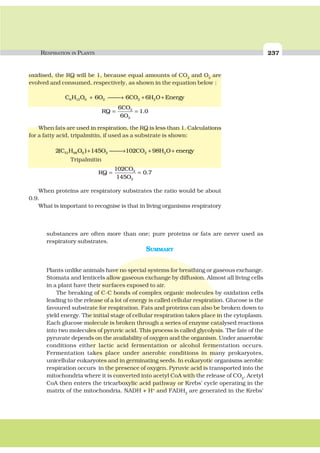 RESPIRATION IN PLANTS 237
oxidised, the RQ will be 1, because equal amounts of CO2
and O2
are
evolved and consumed, respectively, as shown in the equation below :
C H O O CO H O Energy6 12 6 2 2 26 6 6+ ⎯ →⎯ + +
RQ
CO
O
= =
6
6
1 02
2
.
When fats are used in respiration, the RQ is less than 1. Calculations
for a fatty acid, tripalmitin, if used as a substrate is shown:
2 145 102 9851 98 6 2 2 2( )C H O O CO H O energy+ ⎯ →⎯ + +
Tripalmitin
RQ
CO
O
= =
102
145
0 72
2
.
When proteins are respiratory substrates the ratio would be about
0.9.
What is important to recognise is that in living organisms respiratory
substances are often more than one; pure proteins or fats are never used as
respiratory substrates.
SUMMARY
Plants unlike animals have no special systems for breathing or gaseous exchange.
Stomata and lenticels allow gaseous exchange by diffusion. Almost all living cells
in a plant have their surfaces exposed to air.
The breaking of C-C bonds of complex organic molecules by oxidation cells
leading to the release of a lot of energy is called cellular respiration. Glucose is the
favoured substrate for respiration. Fats and proteins can also be broken down to
yield energy. The initial stage of cellular respiration takes place in the cytoplasm.
Each glucose molecule is broken through a series of enzyme catalysed reactions
into two molecules of pyruvic acid. This process is called glycolysis. The fate of the
pyruvate depends on the availability of oxygen and the organism. Under anaerobic
conditions either lactic acid fermentation or alcohol fermentation occurs.
Fermentation takes place under anerobic conditions in many prokaryotes,
unicellular eukaryotes and in germinating seeds. In eukaryotic organisms aerobic
respiration occurs in the presence of oxygen. Pyruvic acid is transported into the
mitochondria where it is converted into acetyl CoA with the release of CO2
. Acetyl
CoA then enters the tricarboxylic acid pathway or Krebs’ cycle operating in the
matrix of the mitochondria. NADH + H+
and FADH2
are generated in the Krebs’
 
