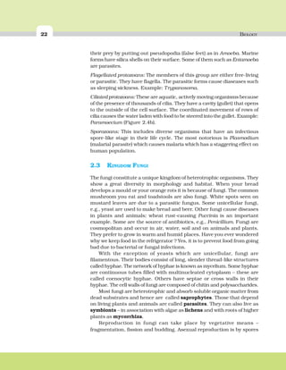 22 BIOLOGY
their prey by putting out pseudopodia (false feet) as in Amoeba. Marine
forms have silica shells on their surface. Some of them such as Entamoeba
are parasites.
Flagellated protozoans: The members of this group are either free-living
or parasitic. They have flagella. The parasitic forms cause diaseases such
as sleeping sickness. Example: Trypanosoma.
Ciliated protozoans: These are aquatic, actively moving organisms because
of the presence of thousands of cilia. They have a cavity (gullet) that opens
to the outside of the cell surface. The coordinated movement of rows of
cilia causes the water laden with food to be steered into the gullet. Example:
Paramoecium (Figure 2.4b).
Sporozoans: This includes diverse organisms that have an infectious
spore-like stage in their life cycle. The most notorious is Plasmodium
(malarial parasite) which causes malaria which has a staggering effect on
human population.
2.3 KINGDOM FUNGI
The fungi constitute a unique kingdom of heterotrophic organisms. They
show a great diversity in morphology and habitat. When your bread
develops a mould or your orange rots it is because of fungi. The common
mushroom you eat and toadstools are also fungi. White spots seen on
mustard leaves are due to a parasitic fungus. Some unicellular fungi,
e.g., yeast are used to make bread and beer. Other fungi cause diseases
in plants and animals; wheat rust-causing Puccinia is an important
example. Some are the source of antibiotics, e.g., Penicillium. Fungi are
cosmopolitan and occur in air, water, soil and on animals and plants.
They prefer to grow in warm and humid places. Have you ever wondered
why we keep food in the refrigerator ? Yes, it is to prevent food from going
bad due to bacterial or fungal infections.
With the exception of yeasts which are unicellular, fungi are
filamentous. Their bodies consist of long, slender thread-like structures
called hyphae. The network of hyphae is known as mycelium. Some hyphae
are continuous tubes filled with multinucleated cytoplasm – these are
called coenocytic hyphae. Others have septae or cross walls in their
hyphae. The cell walls of fungi are composed of chitin and polysaccharides.
Most fungi are heterotrophic and absorb soluble organic matter from
dead substrates and hence are called saprophytes. Those that depend
on living plants and animals are called parasites. They can also live as
symbionts – in association with algae as lichens and with roots of higher
plants as mycorrhiza.
Reproduction in fungi can take place by vegetative means –
fragmentation, fission and budding. Asexual reproduction is by spores
 