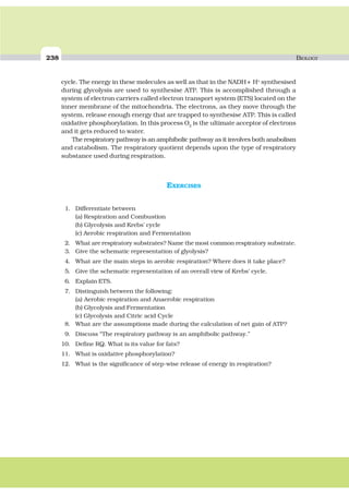 238 BIOLOGY
cycle. The energy in these molecules as well as that in the NADH+ H+
synthesised
during glycolysis are used to synthesise ATP. This is accomplished through a
system of electron carriers called electron transport system (ETS) located on the
inner membrane of the mitochondria. The electrons, as they move through the
system, release enough energy that are trapped to synthesise ATP. This is called
oxidative phosphorylation. In this process O2
is the ultimate acceptor of electrons
and it gets reduced to water.
The respiratory pathway is an amphibolic pathway as it involves both anabolism
and catabolism. The respiratory quotient depends upon the type of respiratory
substance used during respiration.
EXERCISES
1. Differentiate between
(a) Respiration and Combustion
(b) Glycolysis and Krebs’ cycle
(c) Aerobic respiration and Fermentation
2. What are respiratory substrates? Name the most common respiratory substrate.
3. Give the schematic representation of glyolysis?
4. What are the main steps in aerobic respiration? Where does it take place?
5. Give the schematic representation of an overall view of Krebs’ cycle.
6. Explain ETS.
7. Distinguish between the following:
(a) Aerobic respiration and Anaerobic respiration
(b) Glycolysis and Fermentation
(c) Glycolysis and Citric acid Cycle
8. What are the assumptions made during the calculation of net gain of ATP?
9. Discuss “The respiratory pathway is an amphibolic pathway.”
10. Define RQ. What is its value for fats?
11. What is oxidative phosphorylation?
12. What is the significance of step-wise release of energy in respiration?
 