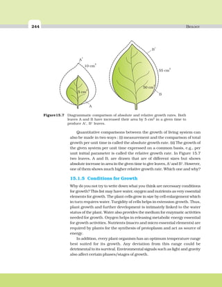 244 BIOLOGY
Quantitative comparisons between the growth of living system can
also be made in two ways : (i) measurement and the comparison of total
growth per unit time is called the absolute growth rate. (ii) The growth of
the given system per unit time expressed on a common basis, e.g., per
unit initial parameter is called the relative growth rate. In Figure 15.7
two leaves, A and B, are drawn that are of different sizes but shows
absolute increase in area in the given time to give leaves, A1
and B1
. However,
one of them shows much higher relative growth rate. Which one and why?
15.1.5 Conditions for Growth
Why do you not try to write down what you think are necessary conditions
for growth? This list may have water, oxygen and nutrients as very essential
elements for growth. The plant cells grow in size by cell enlargement which
in turn requires water. Turgidity of cells helps in extension growth. Thus,
plant growth and further development is intimately linked to the water
status of the plant. Water also provides the medium for enzymatic activities
needed for growth. Oxygen helps in releasing metabolic energy essential
for growth activities. Nutrients (macro and micro essential elements) are
required by plants for the synthesis of protoplasm and act as source of
energy.
In addition, every plant organism has an optimum temperature range
best suited for its growth. Any deviation from this range could be
detrimental to its survival. Environmental signals such as light and gravity
also affect certain phases/stages of growth.
Figure15.7 Diagrammatic comparison of absolute and relative growth rates. Both
leaves A and B have increased their area by 5 cm2 in a given time to
produce A1
, B1
leaves.
 