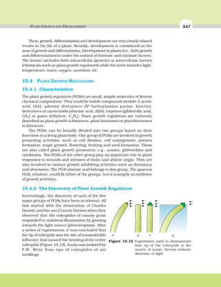 PLANT GROWTH AND DEVELOPMENT 247
Thus, growth, differentiation and development are very closely related
events in the life of a plant. Broadly, development is considered as the
sum of growth and differentiation. Development in plants (i.e., both growth
and differentiation) is under the control of intrinsic and extrinsic factors.
The former includes both intracellular (genetic) or intercellular factors
(chemicals such as plant growth regulators) while the latter includes light,
temperature, water, oxygen, nutrition, etc.
15.4 PLANT GROWTH REGULATORS
15.4.1 Characteristics
The plant growth regulators (PGRs) are small, simple molecules of diverse
chemical composition. They could be indole compounds (indole-3-acetic
acid, IAA); adenine derivatives (N6
-furfurylamino purine, kinetin),
derivatives of carotenoids (abscisic acid, ABA); terpenes (gibberellic acid,
GA3
) or gases (ethylene, C2
H4
). Plant growth regulators are variously
described as plant growth substances, plant hormones or phytohormones
in literature.
The PGRs can be broadly divided into two groups based on their
functions in a living plant body. One group of PGRs are involved in growth
promoting activities, such as cell division, cell enlargement, pattern
formation, tropic growth, flowering, fruiting and seed formation. These
are also called plant growth promoters, e.g., auxins, gibberellins and
cytokinins. The PGRs of the other group play an important role in plant
responses to wounds and stresses of biotic and abiotic origin. They are
also involved in various growth inhibiting activities such as dormancy
and abscission. The PGR abscisic acid belongs to this group. The gaseous
PGR, ethylene, could fit either of the groups, but it is largely an inhibitor
of growth activities.
15.4.2 The Discovery of Plant Growth Regulators
Interestingly, the discovery of each of the five
major groups of PGRs have been accidental. All
this started with the observation of Charles
Darwin and his son Francis Darwin when they
observed that the coleoptiles of canary grass
responded to unilateral illumination by growing
towards the light source (phototropism). After
a series of experiments, it was concluded that
the tip of coleoptile was the site of transmittable
influence that caused the bending of the entire
coleoptile (Figure 15.10). Auxin was isolated by
F.W. Went from tips of coleoptiles of oat
seedlings.
a b c d
Figure 15.10 Experiment used to demonstrate
that tip of the coleoptile is the
source of auxin. Arrows indicate
direction of light
 