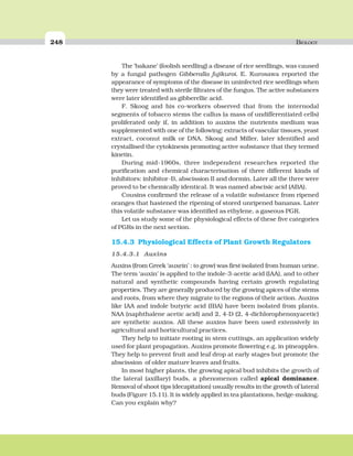 248 BIOLOGY
The ‘bakane’ (foolish seedling) a disease of rice seedlings, was caused
by a fungal pathogen Gibberalla fujikuroi. E. Kurosawa reported the
appearance of symptoms of the disease in uninfected rice seedlings when
they were treated with sterile filtrates of the fungus. The active substances
were later identified as gibberellic acid.
F. Skoog and his co-workers observed that from the internodal
segments of tobacco stems the callus (a mass of undifferentiated cells)
proliferated only if, in addition to auxins the nutrients medium was
supplemented with one of the following: extracts of vascular tissues, yeast
extract, coconut milk or DNA. Skoog and Miller, later identified and
crystallised the cytokinesis promoting active substance that they termed
kinetin.
During mid-1960s, three independent researches reported the
purification and chemical characterisation of three different kinds of
inhibitors: inhibitor-B, abscission II and dormin. Later all the three were
proved to be chemically identical. It was named abscisic acid (ABA).
Cousins confirmed the release of a volatile substance from ripened
oranges that hastened the ripening of stored unripened bananas. Later
this volatile substance was identified as ethylene, a gaseous PGR.
Let us study some of the physiological effects of these five categories
of PGRs in the next section.
15.4.3 Physiological Effects of Plant Growth Regulators
15.4.3.1 Auxins
Auxins (from Greek ‘auxein’ : to grow) was first isolated from human urine.
The term ‘auxin’ is applied to the indole-3-acetic acid (IAA), and to other
natural and synthetic compounds having certain growth regulating
properties. They are generally produced by the growing apices of the stems
and roots, from where they migrate to the regions of their action. Auxins
like IAA and indole butyric acid (IBA) have been isolated from plants.
NAA (naphthalene acetic acid) and 2, 4-D (2, 4-dichlorophenoxyacetic)
are synthetic auxins. All these auxins have been used extensively in
agricultural and horticultural practices.
They help to initiate rooting in stem cuttings, an application widely
used for plant propagation. Auxins promote flowering e.g. in pineapples.
They help to prevent fruit and leaf drop at early stages but promote the
abscission of older mature leaves and fruits.
In most higher plants, the growing apical bud inhibits the growth of
the lateral (axillary) buds, a phenomenon called apical dominance.
Removal of shoot tips (decapitation) usually results in the growth of lateral
buds (Figure 15.11). It is widely applied in tea plantations, hedge-making.
Can you explain why?
 