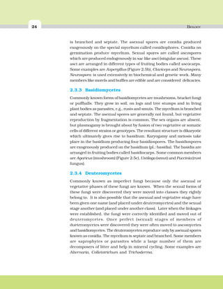 24 BIOLOGY
is branched and septate. The asexual spores are conidia produced
exogenously on the special mycelium called conidiophores. Conidia on
germination produce mycelium. Sexual spores are called ascospores
which are produced endogenously in sac like asci (singular ascus). These
asci are arranged in different types of fruiting bodies called ascocarps.
Some examples are Aspergillus (Figure 2.5b), Claviceps and Neurospora.
Neurospora is used extensively in biochemical and genetic work. Many
members like morels and buffles are edible and are considered delicacies.
2.3.3 Basidiomycetes
Commonly known forms of basidiomycetes are mushrooms, bracket fungi
or puffballs. They grow in soil, on logs and tree stumps and in living
plant bodies as parasites, e.g., rusts and smuts. The mycelium is branched
and septate. The asexual spores are generally not found, but vegetative
reproduction by fragmentation is common. The sex organs are absent,
but plasmogamy is brought about by fusion of two vegetative or somatic
cells of different strains or genotypes. The resultant structure is dikaryotic
which ultimately gives rise to basidium. Karyogamy and meiosis take
place in the basidium producing four basidiospores. The basidiospores
are exogenously produced on the basidium (pl.: basidia). The basidia are
arranged in fruiting bodies called basidiocarps. Some common members
are Agaricus (mushroom) (Figure 2.5c), Ustilago (smut) and Puccinia (rust
fungus).
2.3.4 Deuteromycetes
Commonly known as imperfect fungi because only the asexual or
vegetative phases of these fungi are known. When the sexual forms of
these fungi were discovered they were moved into classes they rightly
belong to. It is also possible that the asexual and vegetative stage have
been given one name (and placed under deuteromycetes) and the sexual
stage another (and placed under another class). Later when the linkages
were established, the fungi were correctly identified and moved out of
deuteromycetes. Once perfect (sexual) stages of members of
dueteromycetes were discovered they were often moved to ascomycetes
and basidiomycetes. The deuteromycetes reproduce only by asexual spores
known as conidia. The mycelium is septate and branched. Some members
are saprophytes or parasites while a large number of them are
decomposers of litter and help in mineral cycling. Some examples are
Alternaria, Colletotrichum and Trichoderma.
 