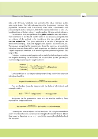 DIGESTION AND ABSORPTION 263
into active trypsin, which in turn activates the other enzymes in the
pancreatic juice. The bile released into the duodenum contains bile
pigments (bilirubin and bili-verdin), bile salts, cholesterol and
phospholipids but no enzymes. Bile helps in emulsification of fats, i.e.,
breaking down of the fats into very small micelles. Bile also activates lipases.
The intestinal mucosal epithelium has goblet cells which secrete mucus.
The secretions of the brush border cells of the mucosa alongwith the
secretions of the goblet cells constitute the intestinal juice or
succus entericus. This juice contains a variety of enzymes like
disaccharidases (e.g., maltase), dipeptidases, lipases, nucleosidases, etc.
The mucus alongwith the bicarbonates from the pancreas protects the
intestinal mucosa from acid as well as provide an alkaline medium (pH
7.8) for enzymatic activities. Sub-mucosal glands (Brunner’s glands) also
help in this.
Proteins, proteoses and peptones (partially hydrolysed proteins) in
the chyme reaching the intestine are acted upon by the proteolytic
enzymes of pancreatic juice as given below:
⎫
⎪
⎯⎯⎯⎯⎯⎯⎯⎯⎯⎯⎯⎯→⎬
⎪
⎭
Trypsin Chymotrypsin/
Carboxypeptidase
Proteins
Peptones Dipeptides
Proteoses
Carbohydrates in the chyme are hydrolysed by pancreatic amylase
into disaccharides.
⎯⎯⎯⎯⎯⎯→
Amylase
Polysaccharides (starch) Disaccharides
Fats are broken down by lipases with the help of bile into di-and
monoglycerides.
⎯⎯⎯⎯⎯→ ⎯⎯→
Lipases
Fats Diglycerides Monoglycerides
Nucleases in the pancreatic juice acts on nucleic acids to form
nucleotides and nucleosides
⎯⎯⎯⎯⎯⎯⎯→ ⎯⎯→NucleasesNucleicacids Nucleotides Nucleosides
The enzymes in the succus entericus act on the end products of the
above reactions to form the respective simple absorbable forms. These
final steps in digestion occur very close to the mucosal epithelial cells of
the intestine.
 